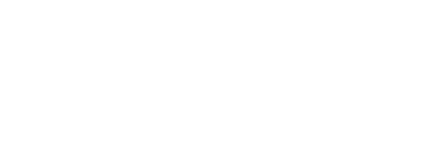 Handyman Niagara Logo